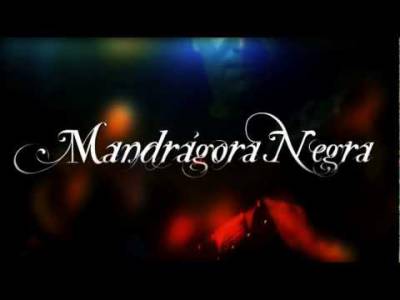 logo Mandrágora Negra